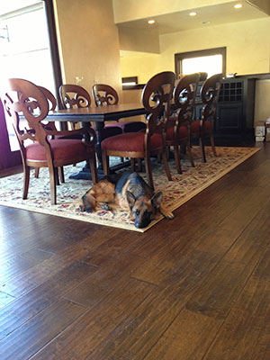 hallmark-floors-chaparral-chaps-macdonald-hardwoods