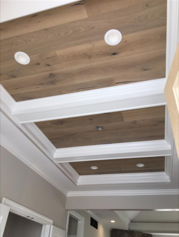 More than just flooring Alta Vista Balboa Ceiling