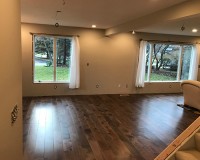 Moderno Seal Cove Living Room Installation St. Paul MN