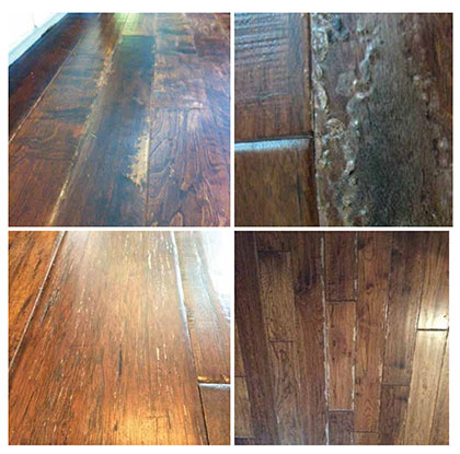 Steam cleaner damage that will occur when use a steam cleaner on wood floors. A photo of Damaged Hallmark Floors from steam cleaning