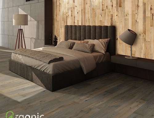 Home Improvement Ideas That Don’t Break the Bank